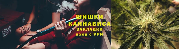 шишки Верхний Тагил